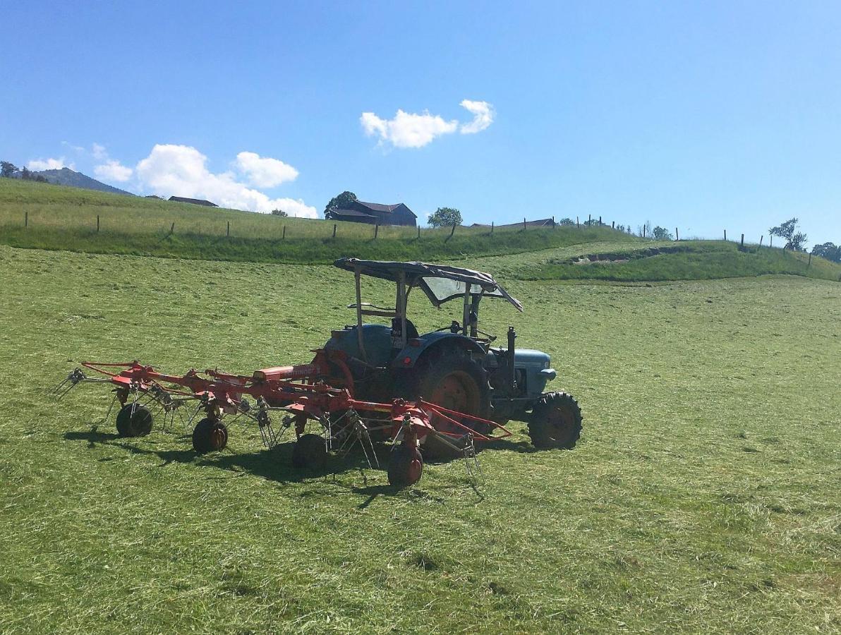 Stadlerhof Farm stay