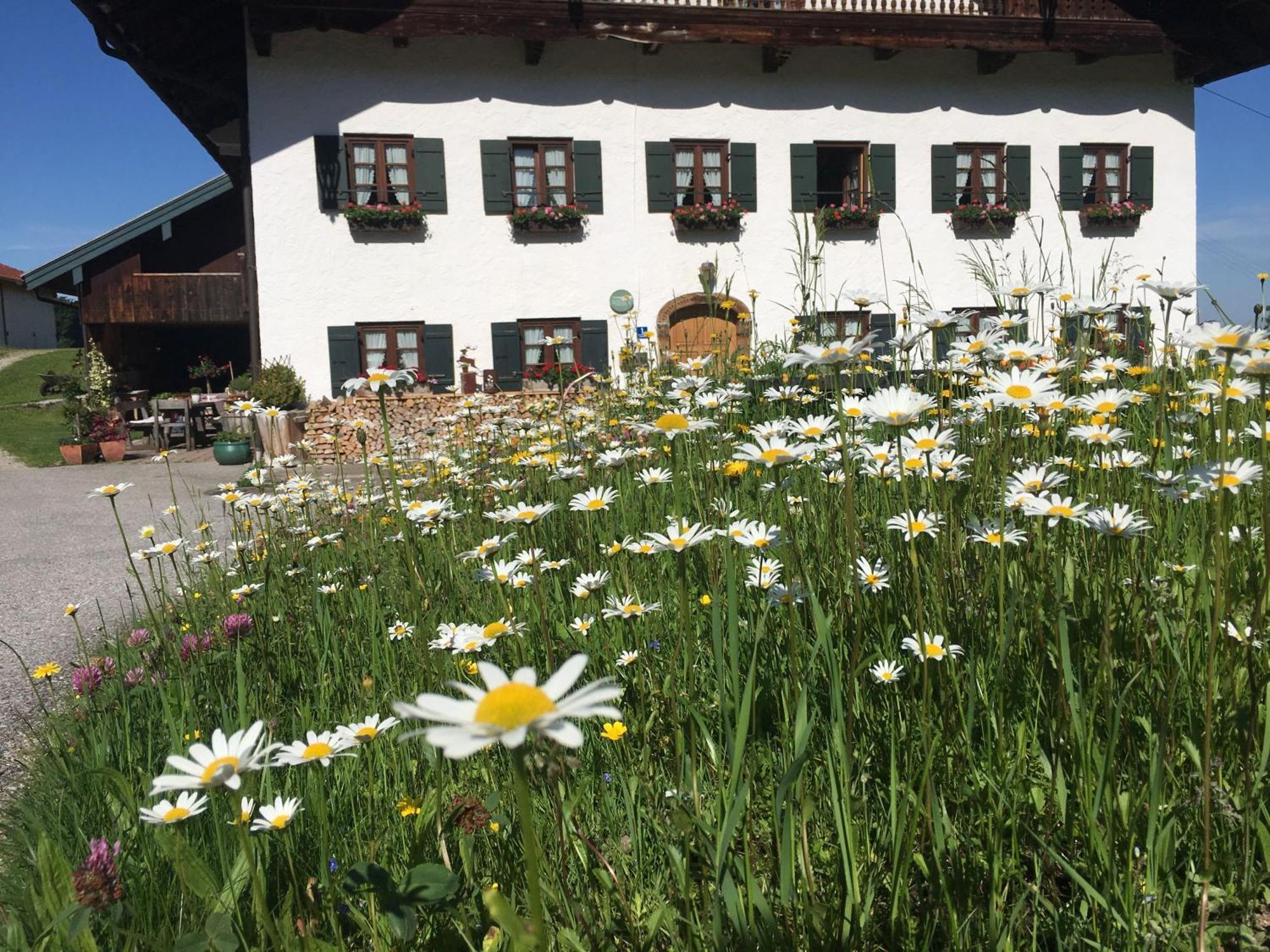 Farm stay Stadlerhof *